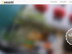 amadoor_vn amadoor_vn